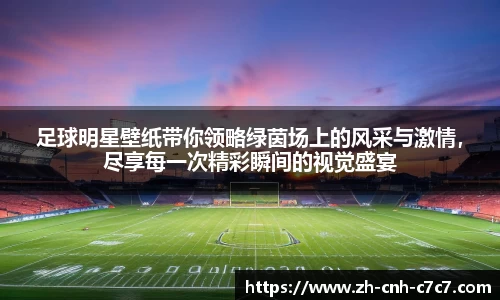 足球明星壁纸带你领略绿茵场上的风采与激情，尽享每一次精彩瞬间的视觉盛宴